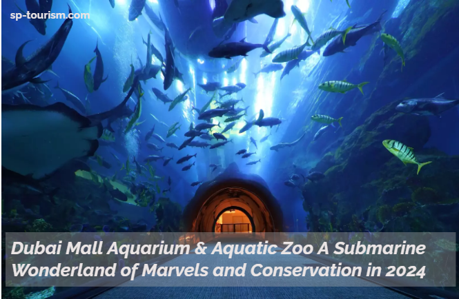 Dubai Mall Aquarium & Aquatic Zoo