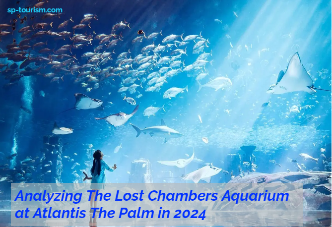 The Lost Chambers Aquarium